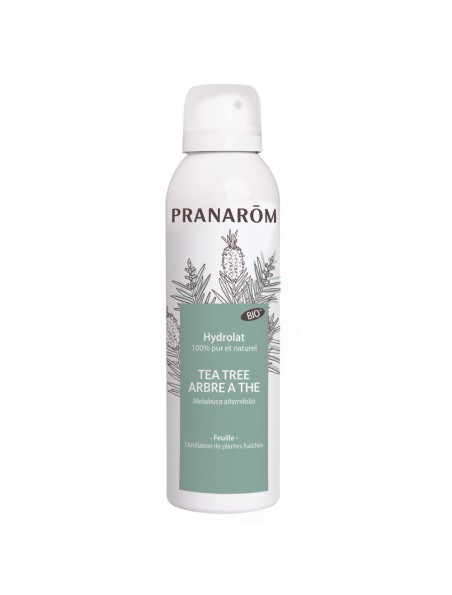 Achetez Tea tree Bio - Hydrolat de Melaleuca alternifolia 150 ml - Pranarôm à l'herboristerie Louis Image principale de Tea tree Bio - Hydrolat de Melaleuca alternifolia 150 ml - Pranarôm
