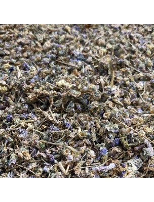 Image de Violette - Sommité fleurie coupée 50g - Tisane de Viola odorata depuis ▷▷ Tisanes de plantes commençant par la lettre V