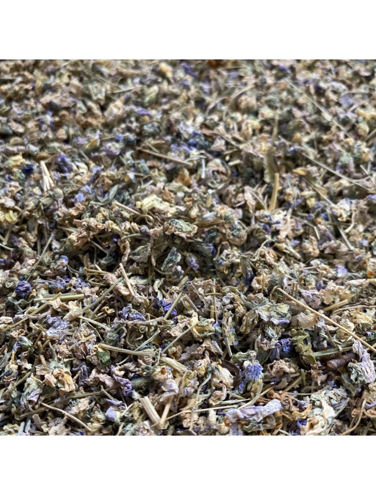 Image principale de la modale pour Violette - Sommité fleurie coupée 50g - Tisane de Viola odorata