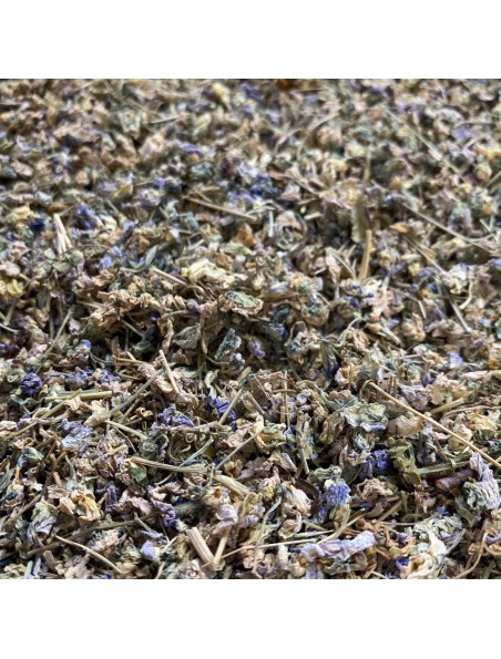 Image principale de Violette - Sommité fleurie coupée 50g - Tisane de Viola odorata