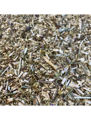 Image de Partenelle (Grande camomille) - Partie aérienne coupée 100g - Tisane de Tanacetum parthenium (L.) Sch. via Bandeau Migraine - Bouillotte Décontractante - Eco-Conseils