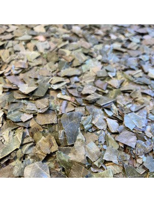 Image de Combretum (Kinkeliba) - Feuille coupée 100g - Tisane de Combretum micranthum depuis Achetez les produits Louis à l'herboristerie Louis (5)