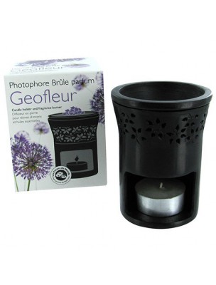 Buy Geofleur photophore for resins and essential oils - Les