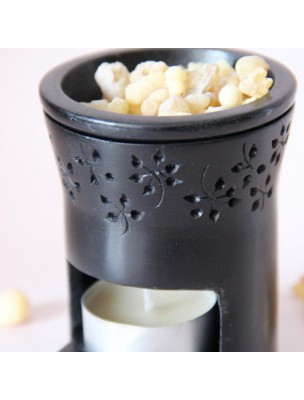 Image de Photophore Geofleur pour résines et huiles essentielles - Les Encens du Monde depuis louis-herboristerie