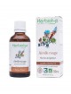 Airelle rouge Macérât de jeune pousse Bio - Femme et Digestion 50 ml - Herbiolys