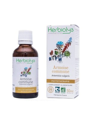 Image de Armoise commune - Digestion et Troubles féminins Teinture-mère Artemisia vulgaris 50 ml - Herbiolys via Armoise Bio - 100g - Tisane Artemisia vulgaris L.