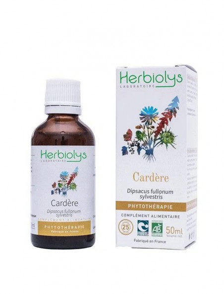 Cardère Bio - Dépurative Teinture-mère Dipsacus fullonum sylvestris 50 ml - Herbiolys