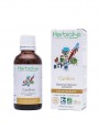 Image de Cardera Bio - Depurative mother tincture Dipsacus fullonum sylvestris 50 ml Herbiolys via Buy Fumitory Organic - Detoxification 40 phials