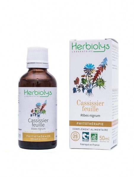 Image principale de Cassissier (Feuille) Bio - Teinture-mère Ribes nigrum 50 ml - Herbiolys