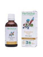 Image de Cassissier (Fruit) Bio - Teinture-mère Ribes nigrum 50 ml - Herbiolys depuis ▷▷ Teintures mères de plantes commençant par la lettre C (2)