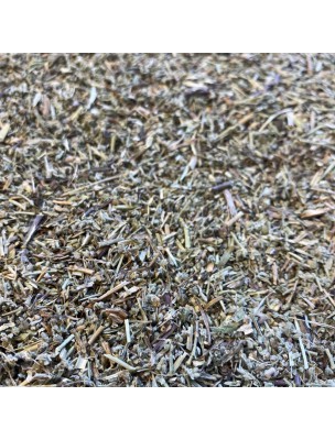 Image de Herniaire - Partie aérienne coupée 100g - Tisane de Herniaria glabra depuis louis-herboristerie