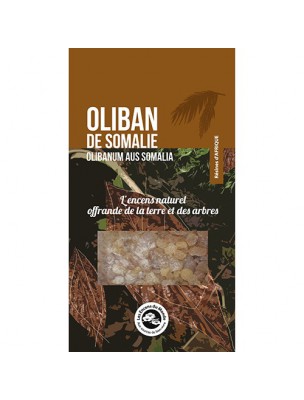 Image de Oliban de Somalie - Résine aromatique 40 g - Les Encens du Monde depuis Achetez les produits Les Encens du Monde à l'herboristerie Louis