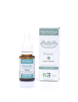 Image de Cherry Plum Prunus n°6 - Calme intérieur et Sérénité Bio aux fleurs de Bach 15 ml - Herbiolys depuis Achetez vos Fleurs de Bach en ligne dès maintenant !