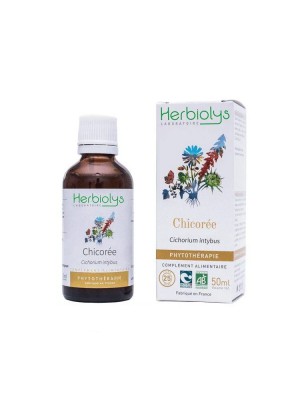 Image de Chicorée Bio - Digestion Teinture-mère Cichorium intybus 50 ml - Herbiolys via Chicorée Bio - Racine poudre 100g - Tisane Cichorium intybus L.