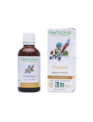 Image de Chiendent Bio - Dépuratif Teinture-mère Agropyrum repens 50 ml - Herbiolys depuis louis-herboristerie