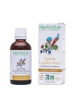 Image de Epilobe à petites fleurs Bio - Prostate Teinture-mère Epilobium parviflorum 50 ml - Herbiolys depuis ▷▷ Teintures mères de plantes commençant par la lettre E