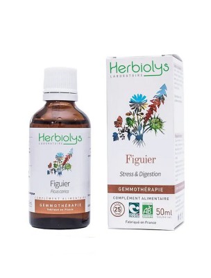 Image de Figuier Macérât de bourgeon Bio - Stress et Digestion 50 ml - Herbiolys via Anti-Stress 600 - Nervosité et Fatigue Be-Life