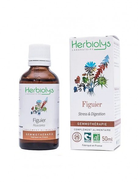 Figuier Macérât de bourgeon Bio - Stress et Digestion 50 ml - Herbiolys