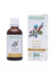 Fraisier des bois Bio - Diurétique Teinture-mère Fragaria vesca 50 ml - Herbiolys