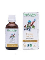 Image de Fraisier des bois Bio - Diurétique Teinture-mère Fragaria vesca 50 ml - Herbiolys depuis ▷▷ Teintures mères de plantes commençant par la lettre F