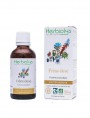 Image de High Ash Tree organic mother tincture 50 ml - Herbiolys via Buy Alkeenge - Berries 100g - Physalis Herbal Tea