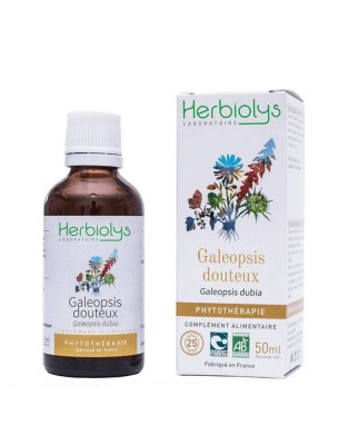 Image de Galeopsis dubia organic tincture - Menopause and Osteoporosis Tincture Galeopsis dubia 50 ml - Natural Herbiolys via Buy Calciolys Organic - Osteoporosis and Fracture Plant extract