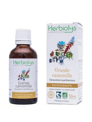 Image de Grande Camomille Bio - Maux de tête Teinture-mère Leucanthemum parthenium 50 ml - Herbiolys via Partenelle coupée 100g - Tisane Tanacetum parthenium