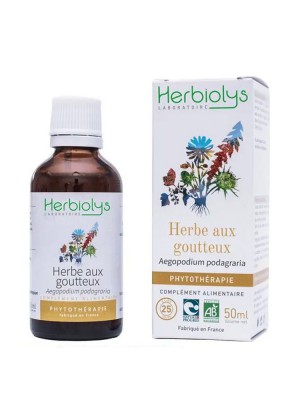 Image de Herbe aux goutteux (Egopode) Bio - Articulations Teinture-mère Aegopodium podagraria 50 ml - Herbiolys via Gratteron - Partie aérienne coupée 100g - Tisane de Galium aparine