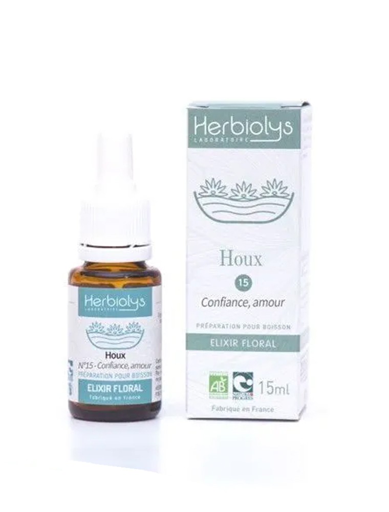 Holly Houx n°15 - Compréhension Bio aux fleurs de Bach 15 ml - Herbiolys Holly Houx n°15 - Compréhension Bio aux fleurs de Bach 15 ml - Herbiolys