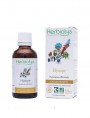 Image de Hysope - Large spectre Teinture-mère 50 ml - Herbiolys via Acheter Hysope Bio - Sommité fleurie 100g - Tisane d'Hyssopus officinalis