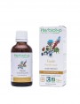 Image de Inula (Grande Aunée) organic - Fatigue Mother tincture Inula helenium 50 ml Herbiolys via Buy Siamwood - Fokienia hodginsii Essential Oil 10 ml - Natural
