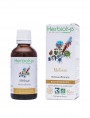 Image de Mélisse Bio - Digestion et Stress Teinture-mère Melissa officinalis 50 ml - Herbiolys via Acheter Millepertuis Bio - Partie aérienne coupée 100g - Tisane Hypericum