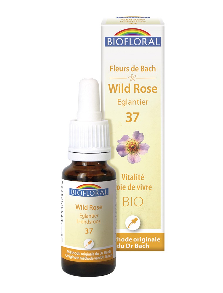 Image principale de la modale pour Wild Rose n°37 - Vitalité et Joie de Vivre Bio aux Fleurs de Bach 20 ml - Biofloral