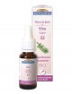 Vine n°32 - Acceptation et Compréhension Bio aux Fleurs de Bach 20 ml - Biofloral