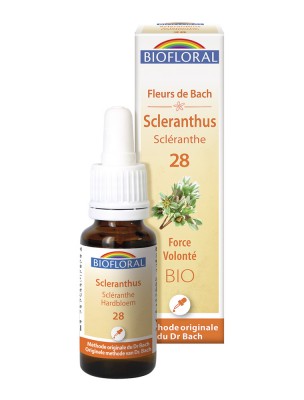 Image de Scleranthus n°28 - Force et Volonté Bio aux Fleurs de Bach 20 ml - Biofloral depuis Résultats de recherche pour "Confiance et Sé"