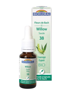 Image de Willow Saule n°38 - Courage et espoir Bio aux fleurs de Bach 20 ml - Biofloral depuis Résultats de recherche pour "Willow 20 ml (S"