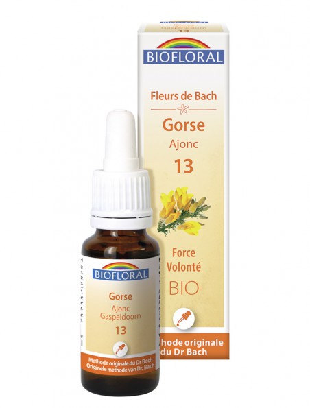 Achetez Gorse Ajonc n°13 - Joie et Volonté Bio aux Fleurs de Bach 20 ml - Biofloral à l'herboristerie Louis Image principale de Gorse Ajonc n°13 - Joie et Volonté Bio aux Fleurs de Bach 20 ml - Biofloral
