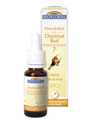 Image de Chestnut bud n°7 - Vitality and Joy of Living Organic with Flowers of Bach 20 ml - Biofloral depuis Buy the products Biofloral at the herbalist's shop Louis