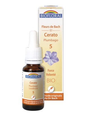 Image de Cerato Plumbago n°5 - Force et Volonté Bio aux Fleurs de Bach 20 ml - Biofloral depuis Commandez les produits Biofloral à l'herboristerie Louis