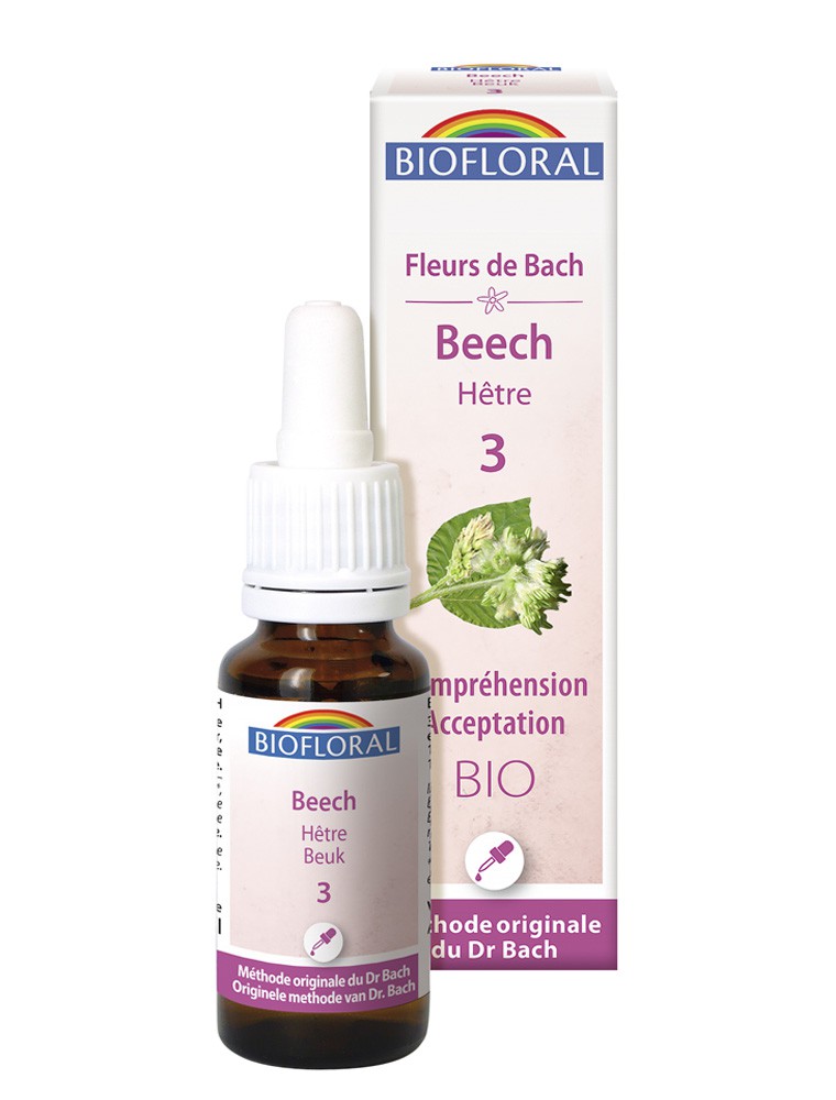 Image principale de la modale pour Beech Hêtre n°3 - Acceptation et Compréhension Bio aux Fleurs de Bach 20 ml - Biofloral