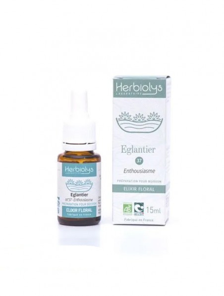 Achetez Wild rose Eglantier n°37 - Indifférence Bio aux fleurs de Bach 15 ml - Herbiolys à l'herboristerie Louis Image principale de Wild rose Eglantier n°37 - Indifférence Bio aux fleurs de Bach 15 ml - Herbiolys