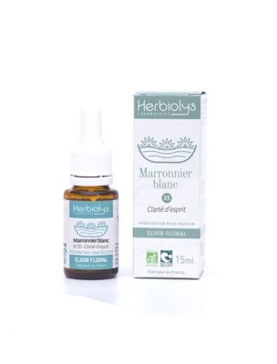 Image de White Chesnut Marronnier Blanc n°35 - Préoccupations Bio aux fleurs de Bach 15 ml - Herbiolys depuis Manque d'intérêt pour le présent