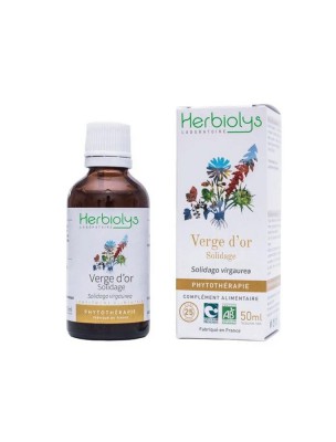 Image de Solidage Verge d'Or Bio - Système urinaire Teinture-mère Solidago virgaurea 50 ml - Herbiolys via Pépin de courge Bio - Teinture-mère Cucurbita 50 ml - Herbiolys