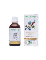 Image de Solidage Verge d'Or Bio - Système urinaire Teinture-mère Solidago virgaurea 50 ml - Herbiolys depuis Achetez des teintures mères unitaires pour votre bien-être | Phyto&Herba (18)