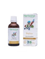 Image de Réglisse Bio - Digestion Teinture-mère Glycyrrhiza glabra 50 ml - Herbiolys depuis ▷▷ Teintures mères de plantes commençant par la lettre R