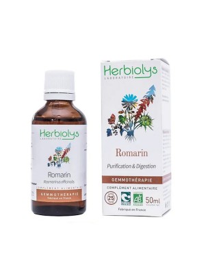 Image de Romarin Macérât de jeune pousse Bio - Digestion et Purification 50 ml - Herbiolys via Buy Romarin Bio 100g - Herboristerie Louis