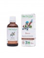 Image de Bramble young shoot macerate Organic - Breathing and Allergies 50 ml Herbiolys via Buy Red cranberry young shoot macerate Organic - Woman and Digestion 50