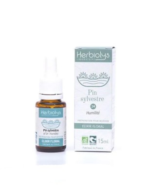 Image de Pine Pin Sylvestre  n°24 - Humilité Bio aux fleurs de Bach 15 ml - Herbiolys depuis Fleurs de Bach naturelles pour votre bien-être | Boutique en ligne (8)