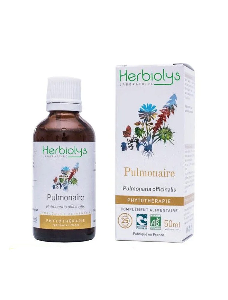 Image principale de la modale pour Pulmonaire Bio - Respiration Teinture-mère Pulmonaria officinalis 50 ml - Herbiolys