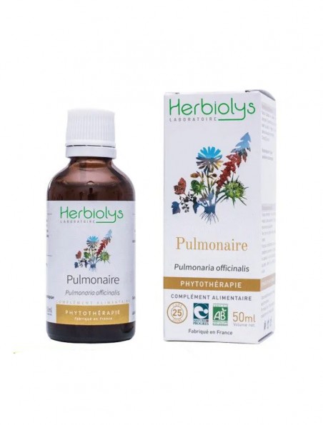 Image principale de Pulmonaire Bio - Respiration Teinture-mère Pulmonaria officinalis 50 ml - Herbiolys